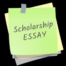 essay